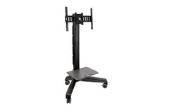 ERGOTRON 24-190-085 ERGOTRON NF Mobile Media Centre LD Cart (24-190-085 1245423) $1,613.00