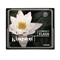 KINGSTON CF/8GB KINGSTON 8GB CF CompactFlash Card (CF/8GB KNM10330 1005676) Unavailable