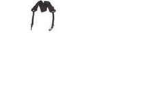 ZEBRA AK17393-022 ZEBRA RW420 BELT CLIPS  PACK OF 5 (ZEB2136 1473306) Unavailable